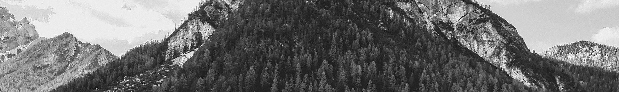 Banner Default Image